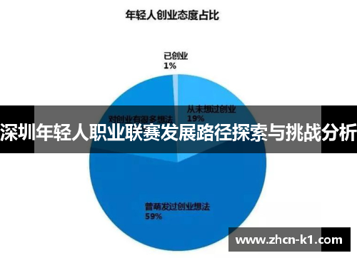 深圳年轻人职业联赛发展路径探索与挑战分析