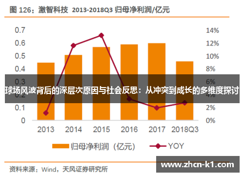 球场风波背后的深层次原因与社会反思：从冲突到成长的多维度探讨