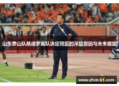 山东泰山队桑德罗离队决定背后的深层原因与未来展望
