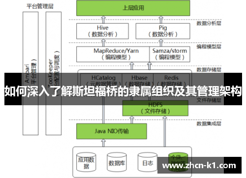 如何深入了解斯坦福桥的隶属组织及其管理架构